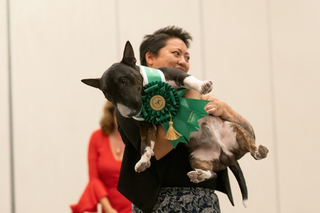 2025 MBTCA VHTS National 