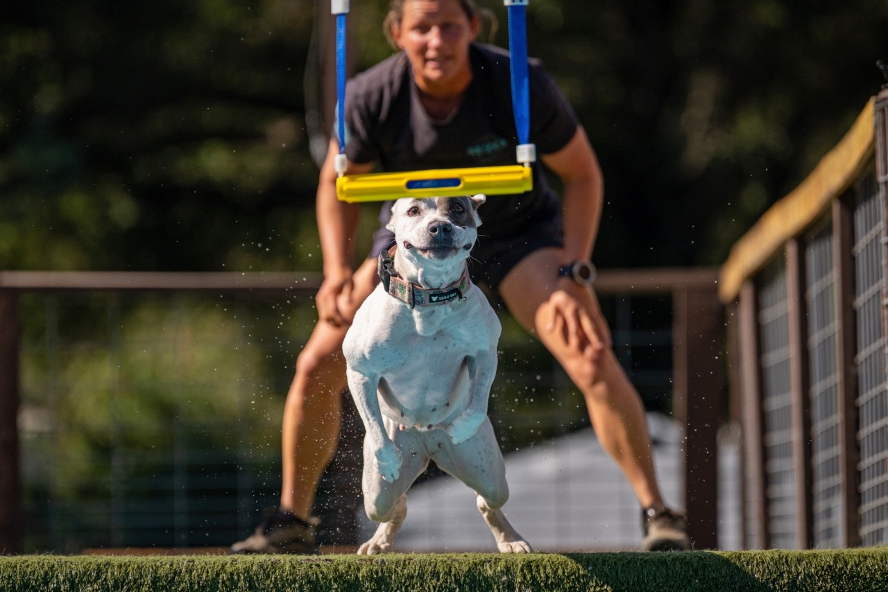 NADD Dock Diving - Valley Center May 22-25