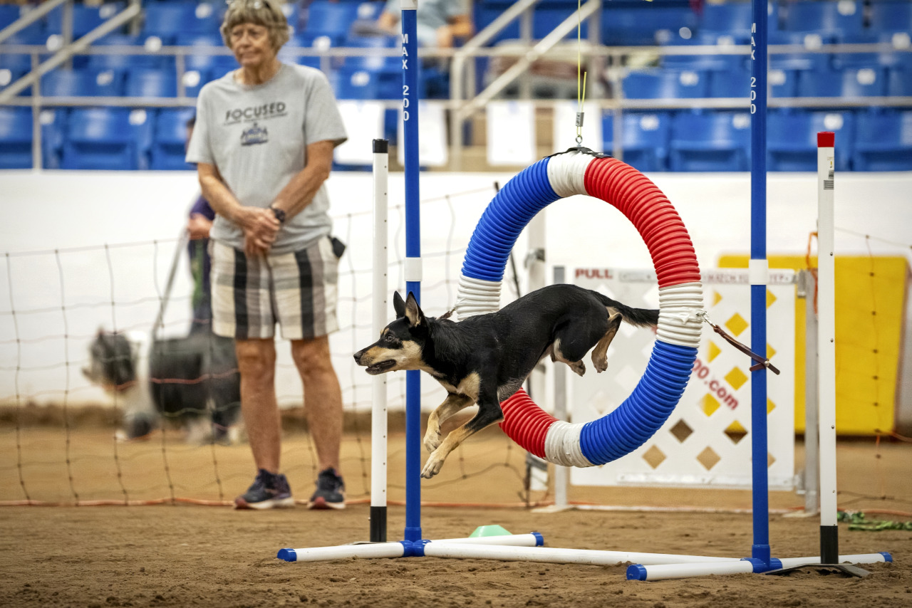 Agility - August WestWorld
